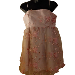 Pink Floral Fairy Core Lace / Embroidered Overlay Short Dress. Size Large.